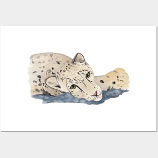 Snow Leopard Lounging Posters and Art